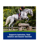 Farnam 81110 Apple Elite Electrolytes Supplement for Horses, 5.38 lb.