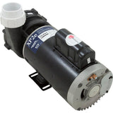Gecko XP2E 05334024-5040 4.0HP 230V 2-Spd 56fr 2.5" Intake 2"Dis OEM Pump