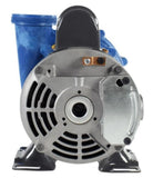 Gecko 06093000-2000 Pump Circ AquaFlo CMXP 1/12 OP HP, 230V 1-Spd, 0.6A