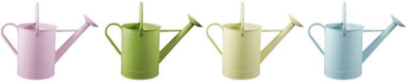 GroundWork KT55064 Multicolor Watering Can 1.5 gal. Iron