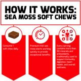 Sea Moss Chews - Daily Health & Antioxidant Support - Salted Caramel (30 Chews)