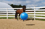 Horsemen's Pride 430 Heavy-duty, Jolly Mega Ball Horse Toy, Blue-30 inches