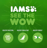 Iams 10171559 Puppy Dry Dog Chicken and Whole Grains Recipe - 15 lbs.