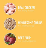 Iams 10171559 Puppy Dry Dog Chicken and Whole Grains Recipe - 15 lbs.