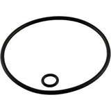 Jandy Zodiac G58 Polaris O-Ring Kit for 180/280/360/380/3900 Backup Valve