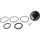 Jandy Zodiac R0442100 Rebuild Kit for Backwash Valve