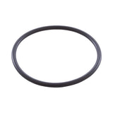 Jandy Zodiac W151211 Electrode O-Ring