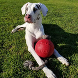 Horsemen's Pride 8 inches Romp-n-Roll Jolly Ball Large Dog Toy - Red
