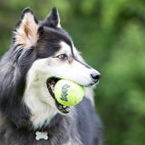 KONG AST2B-TSC SqueakAir Rubber Ball Medium Dog Toy