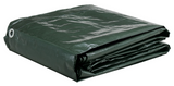 JobSmart KSG2PK0810 8 ft. x 10 ft. Green Tarp, 2-Pack, Medium Duty