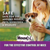MouseX 620212 Non-Toxic Rodent Killer Throw Packs Against All Species of Rats and Mice, 12 oz./ Box