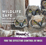 MouseX 620212 Non-Toxic Rodent Killer Throw Packs Against All Species of Rats and Mice, 12 oz./ Box