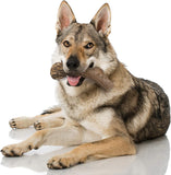 Nylabone Power Chew NAN105P Antler Alternative Large Dog Chew Toy - Up to 50lbs