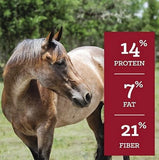 Nutrena 94510 Horse Supplies 50 Pounds SafeChoice Special Care Low Starch Feed