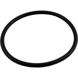 Pentair PacFab 352602 590 Lid O-Ring for Hydro Pump