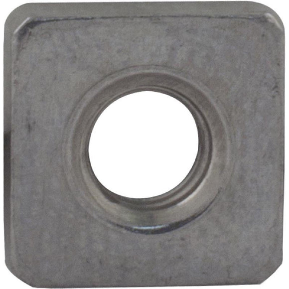 Pentair 354542 Stainless Steel Nut