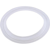 Pentair 959000 Wall Fitting Gasket Pent Cyclone Micro BWG