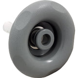 Pentair 9649WW Emerald Cut Non Swirl Barrel Assembly - Dark Gray
