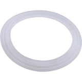 Pentair 985700 Wall Fitting " L" Gasket Cyclone Luxury Jet