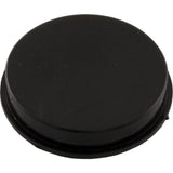 Pentair R172225X 1.5" Plug - Black