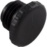 Pentair R172392 0.25" MPT Access Plug for Pool & Spa Cartridge Filter