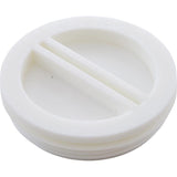 Pentair R22011 2" Polyurethane Winterizing Threaded Plug