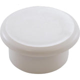 Pentair R36019 Plug Cap