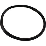 Pentair R36046 Baker Hydro Ring Die Gasket for Vac-Mate 211100