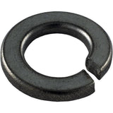 Pentair U43-12SS 0.38" Lock Washer