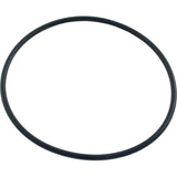Jandy Zodiac 6-412-00 O-Ring Chamber Assembly