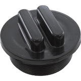 Praher E-19-S2B 2" MPT Side Mount Valves Plug - Black