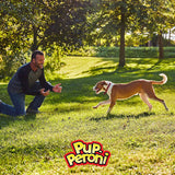Pup-Peroni 7910051021 5.6 oz Original Real Beef Flavor Dog Stick Treats
