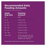 Purina Dog Chow Complete Adult Dry Dog Food Kibble With Lamb Flavor, 44 lb. Bag
