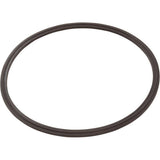 Zodiac R0623300 Leaf Catcher Seal, Cyclonic Leaf Catcher