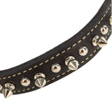 Retriever Oak Tanned Leather Double-Ply Spiked Dog Collar, 1 in. x 20 in., Black