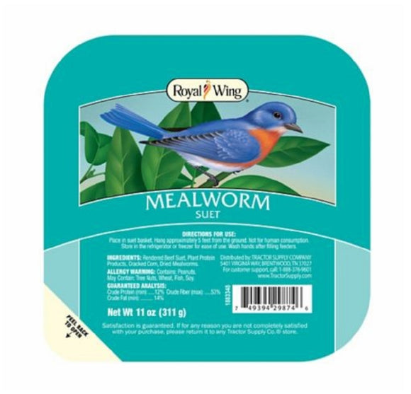 Royal Wing 14326 Mealworm Suet Snacks 11 Ounce Tray All Seasons Wild Bird Food