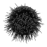 Hard Bristle Brush Cleaning Kit (2-Piece)
