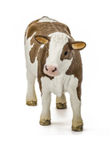 Schleich 13801 Educational Simmental Cow Figurine