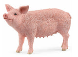 Schleich 13933 Farm Animal Pig Toy Figurine for Ages 3 and Up