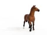 Schleich 13945 Wildlife Oldenbuger Mare Toy Figurine for Ages 3 and Up