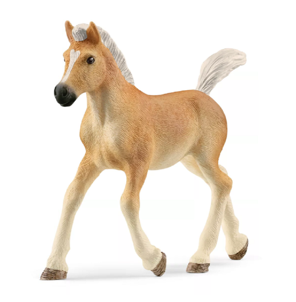 Schleich 13951 Haflinger Foal Toy Figurine