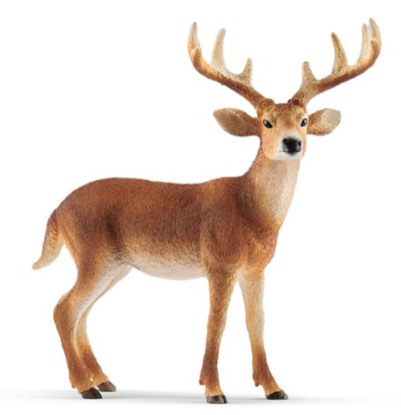 Schleich 14818 Wildlife Animal White-Tailed Buck Toy Figurine