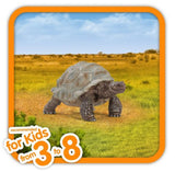 Schleich 14824 Giant Tortoise Toy Figurine for Ages 3 years and up