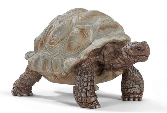 Schleich 14824 Giant Tortoise Toy Figurine