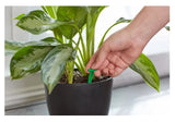 Miracle-Gro 1002522 1.1 oz. Indoor Plant Food Spikes, 24-Pack