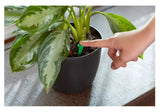 Miracle-Gro 1002522 1.1 oz. Indoor Plant Food Spikes, 24-Pack