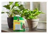 Miracle-Gro 1002522 1.1 oz. Indoor Plant Food Spikes, 24-Pack