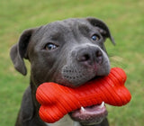Playology 300746 All Natural Beef Scented Dual Layer Dog Chew Bone