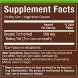 Fermented Turkey Tail - Adaptogenic Mushroom for Immune & Detox Support, 60 Caps