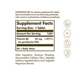 Vitamin B6 - 25 MG (100 Tablets)